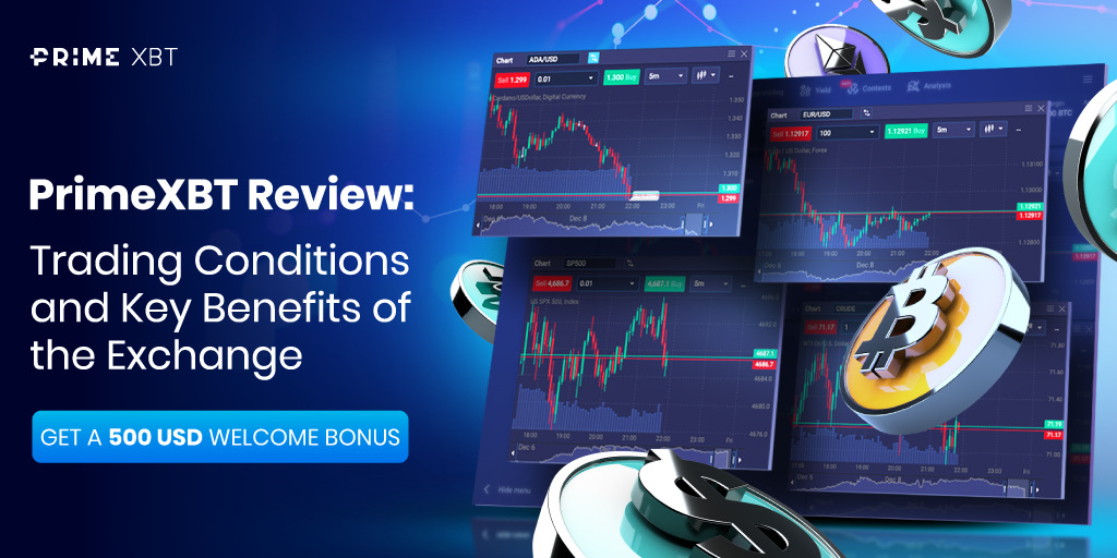 Polkadot Price Prediction on PrimeXBT Analyzing Future Trends